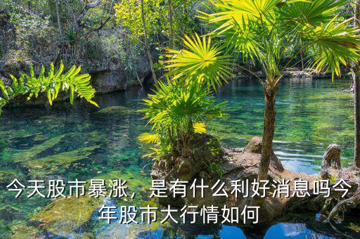 今天股市暴漲，是有什么利好消息嗎今年股市大行情如何