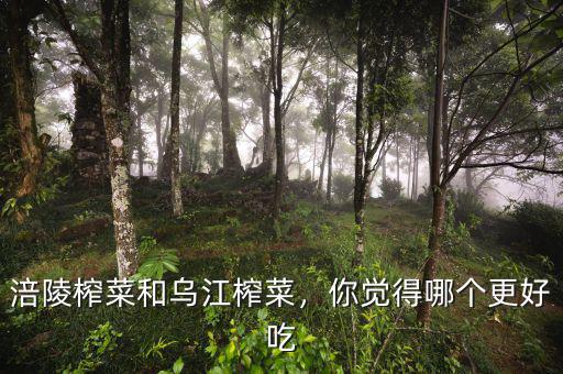 涪陵榨菜和烏江榨菜，你覺得哪個更好吃