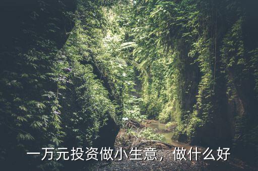 一萬元投資做小生意，做什么好