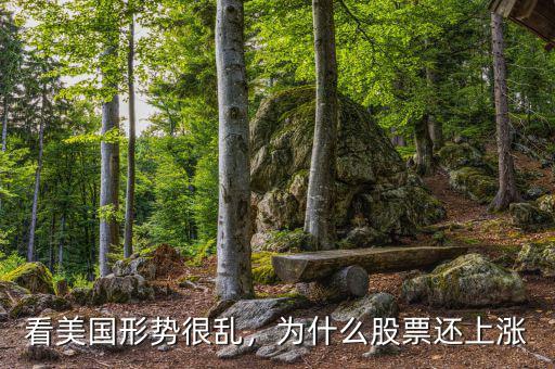 看美國形勢很亂，為什么股票還上漲