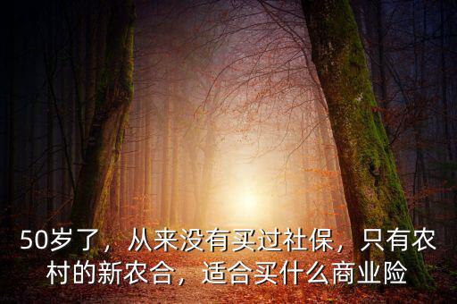 50歲了，從來沒有買過社保，只有農(nóng)村的新農(nóng)合，適合買什么商業(yè)險