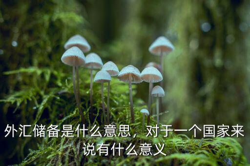 外匯儲備是什么意思，對于一個(gè)國家來說有什么意義