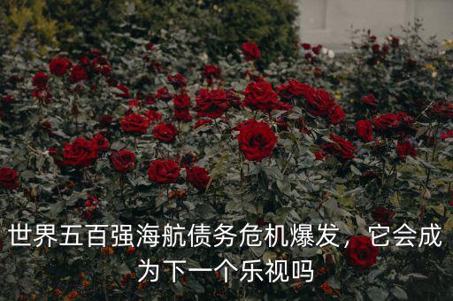 世界五百強海航債務(wù)危機爆發(fā)，它會成為下一個樂視嗎