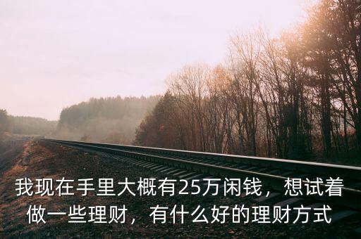 我現(xiàn)在手里大概有25萬閑錢，想試著做一些理財(cái)，有什么好的理財(cái)方式