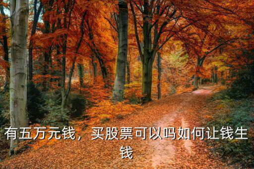 有五萬元錢，買股票可以嗎如何讓錢生錢