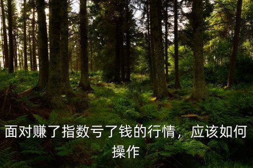 面對(duì)賺了指數(shù)虧了錢的行情，應(yīng)該如何操作
