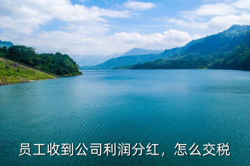 員工收到公司利潤分紅，怎么交稅
