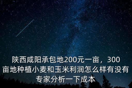 陜西咸陽(yáng)承包地200元一畝，300畝地種植小麥和玉米利潤(rùn)怎么樣有沒(méi)有專(zhuān)家分析一下成本