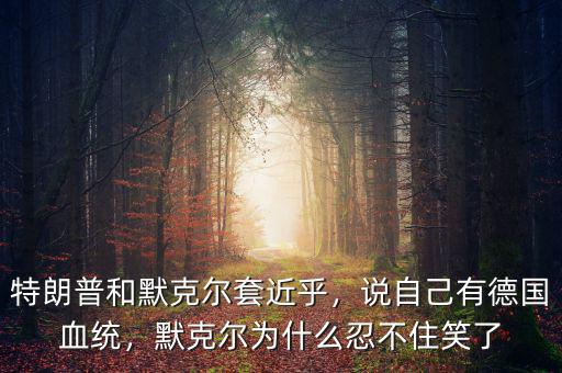 特朗普和默克爾套近乎，說自己有德國血統(tǒng)，默克爾為什么忍不住笑了