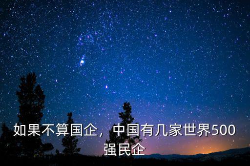如果不算國企，中國有幾家世界500強民企