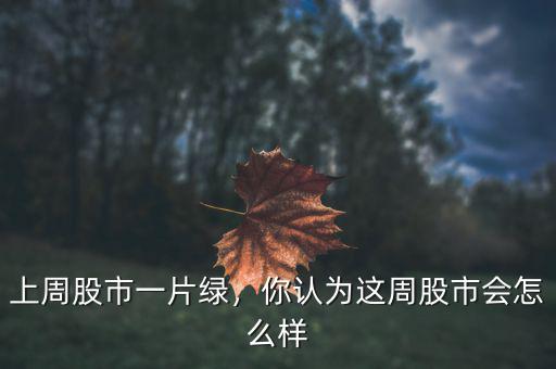 上周股市一片綠，你認(rèn)為這周股市會(huì)怎么樣