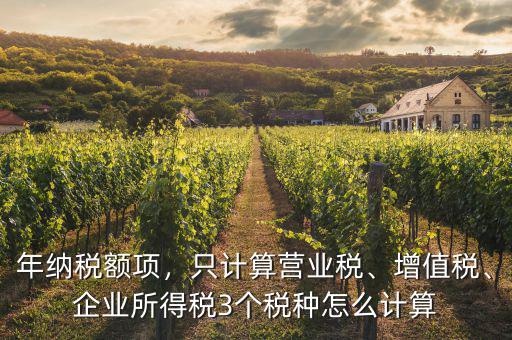 年納稅額怎么計(jì)算,企業(yè)所得稅3個稅種怎么計(jì)算