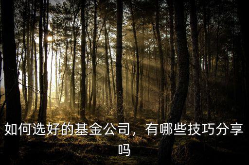 如何選好的基金公司，有哪些技巧分享嗎