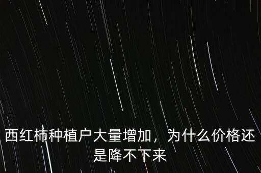 西紅柿種植戶大量增加，為什么價(jià)格還是降不下來