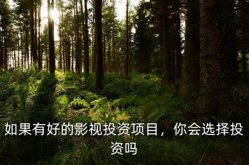 如果有好的影視投資項目，你會選擇投資嗎