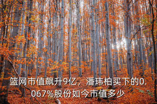 福瑞股份市值多少,籃網市值飆升9億