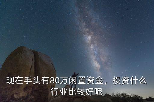 現(xiàn)在手頭有80萬閑置資金，投資什么行業(yè)比較好呢