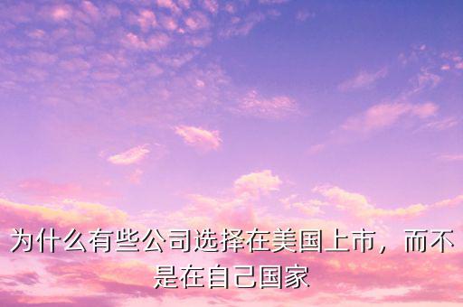 為什么有些公司選擇在美國上市，而不是在自己國家