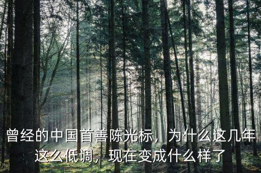 曾經(jīng)的中國首善陳光標，為什么這幾年這么低調(diào)，現(xiàn)在變成什么樣了
