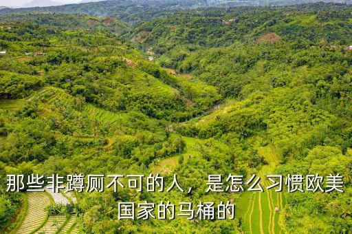 那些非蹲廁不可的人，是怎么習(xí)慣歐美國家的馬桶的