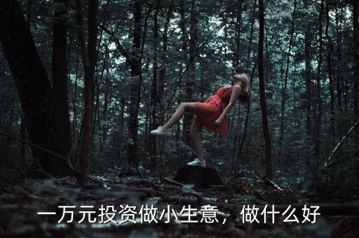 一萬元投資做小生意，做什么好
