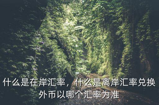 什么是在岸匯率，什么是離岸匯率兌換外幣以哪個匯率為準(zhǔn)