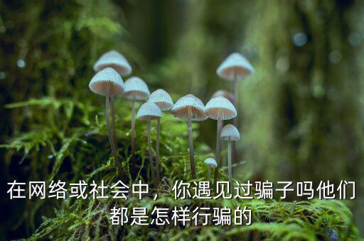 網(wǎng)絡(luò)詐騙她們是怎么洗錢(qián)的,他們都是怎樣行騙的