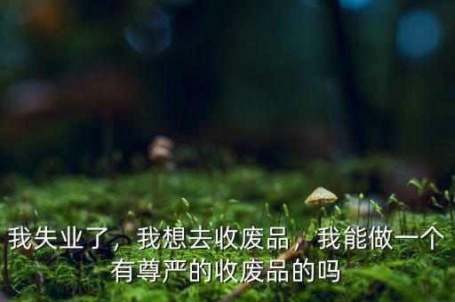 我失業(yè)了，我想去收廢品，我能做一個(gè)有尊嚴(yán)的收廢品的嗎