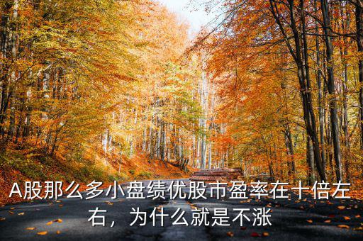 A股那么多小盤績(jī)優(yōu)股市盈率在十倍左右，為什么就是不漲
