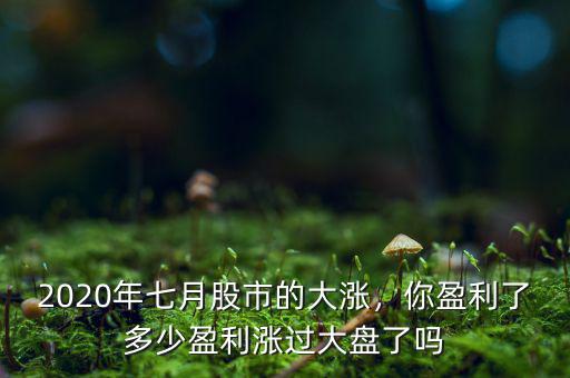 2020年七月股市的大漲，你盈利了多少盈利漲過大盤了嗎