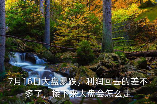 7月16日大盤暴跌，利潤回去的差不多了，接下來大盤會怎么走