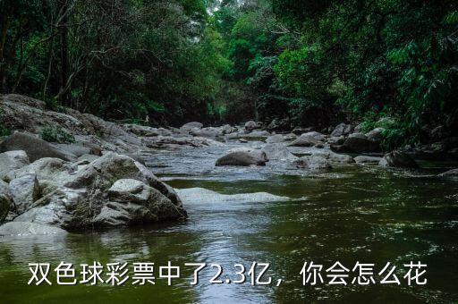 雙色球彩票中了2.3億，你會怎么花