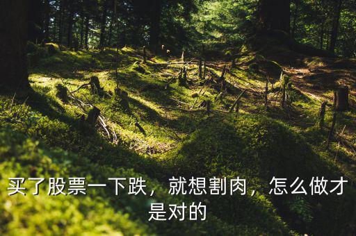 買(mǎi)了股票一下跌，就想割肉，怎么做才是對(duì)的