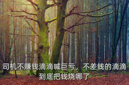 司機(jī)不賺錢(qián)滴滴喊巨虧，不差錢(qián)的滴滴到底把錢(qián)燒哪了