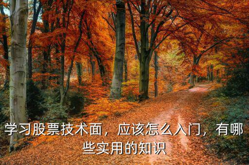 學(xué)習(xí)股票技術(shù)面，應(yīng)該怎么入門，有哪些實(shí)用的知識(shí)