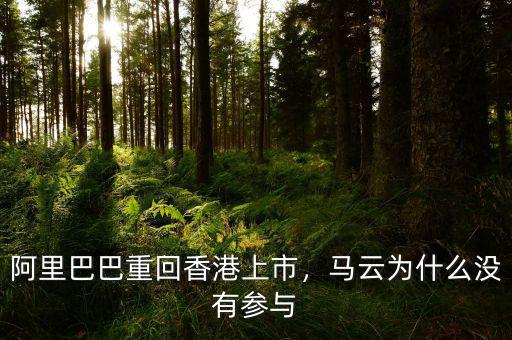 阿里巴巴重回香港上市，馬云為什么沒有參與