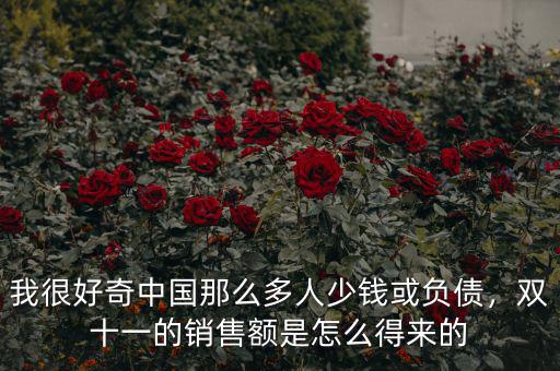 我很好奇中國那么多人少錢或負債，雙十一的銷售額是怎么得來的