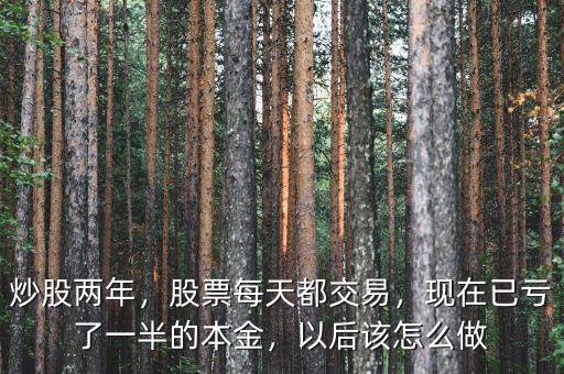 炒股兩年，股票每天都交易，現(xiàn)在已虧了一半的本金，以后該怎么做