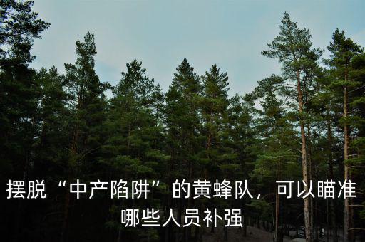 擺脫“中產(chǎn)陷阱”的黃蜂隊，可以瞄準(zhǔn)哪些人員補強