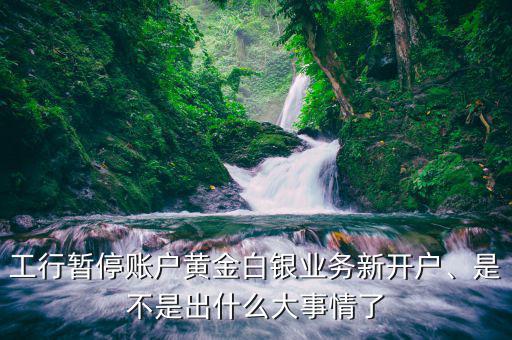 工行暫停賬戶黃金白銀業(yè)務(wù)新開戶、是不是出什么大事情了