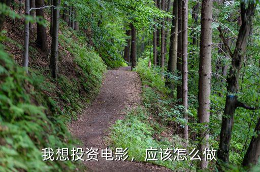 我想投資電影，應(yīng)該怎么做