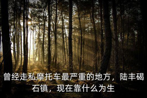 曾經(jīng)走私摩托車最嚴(yán)重的地方，陸豐碣石鎮(zhèn)，現(xiàn)在靠什么為生