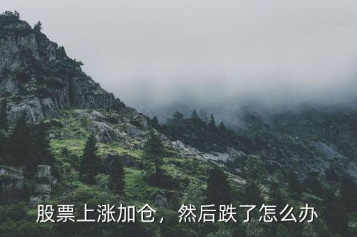 股票上漲加倉(cāng)，然后跌了怎么辦
