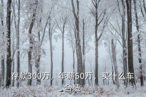 存款300萬，年薪50萬，買什么車合適
