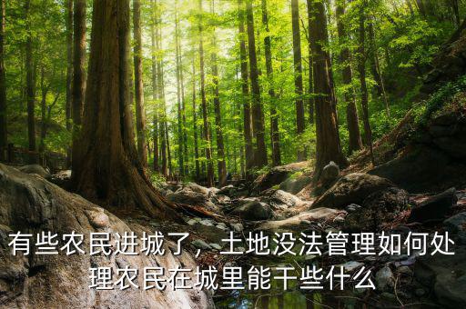 有些農(nóng)民進城了，土地沒法管理如何處理農(nóng)民在城里能干些什么