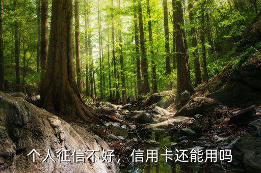個人征信不好，信用卡還能用嗎