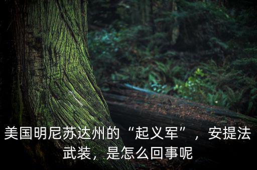 美國明尼蘇達(dá)州的“起義軍”，安提法武裝，是怎么回事呢