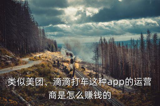 類似美團(tuán)、滴滴打車這種app的運(yùn)營商是怎么賺錢的