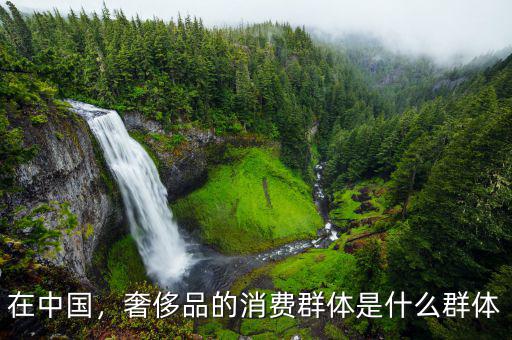 在中國，奢侈品的消費群體是什么群體