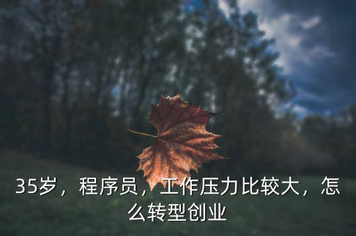 35歲，程序員，工作壓力比較大，怎么轉型創(chuàng)業(yè)